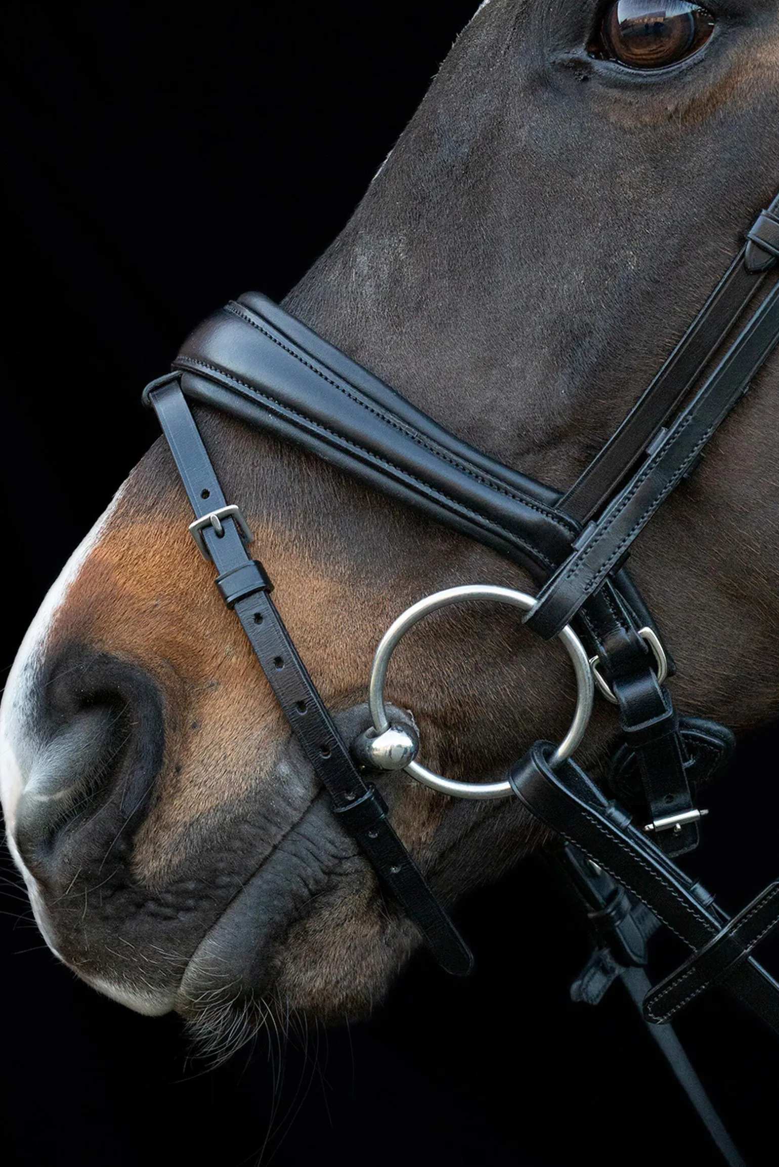 Schockemöhle Sports Charleston Hodelag