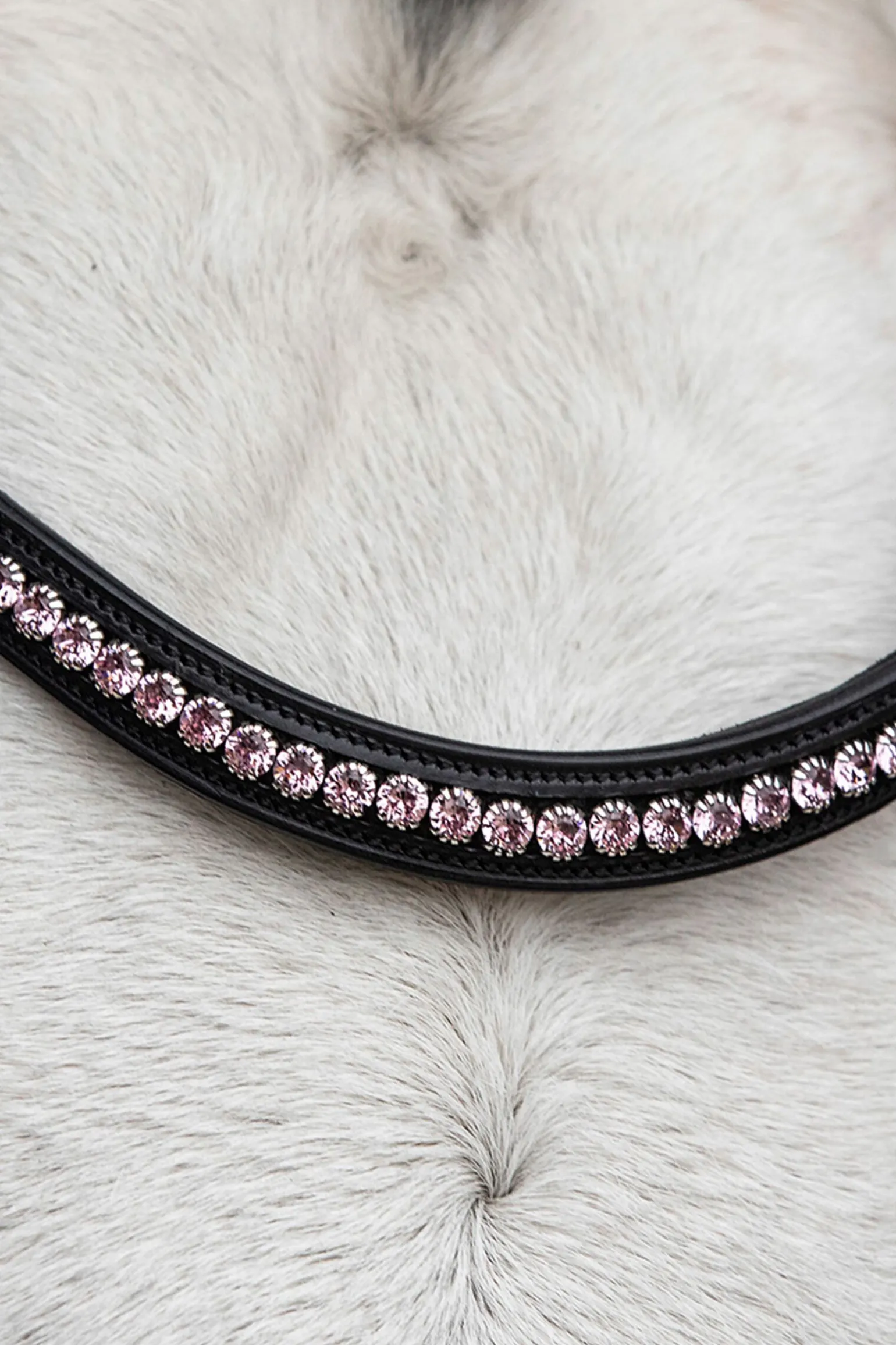 Schockemöhle Sports Diamond Select pannebånd