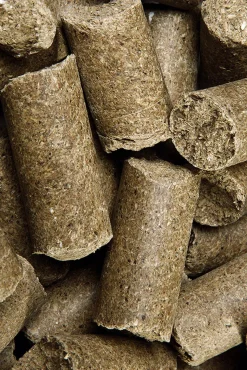 Speed Pure Apple Delicious Speedies, godbiter, 5 kilo