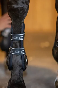 Veredus Carbon Gel Absolute senebelegg