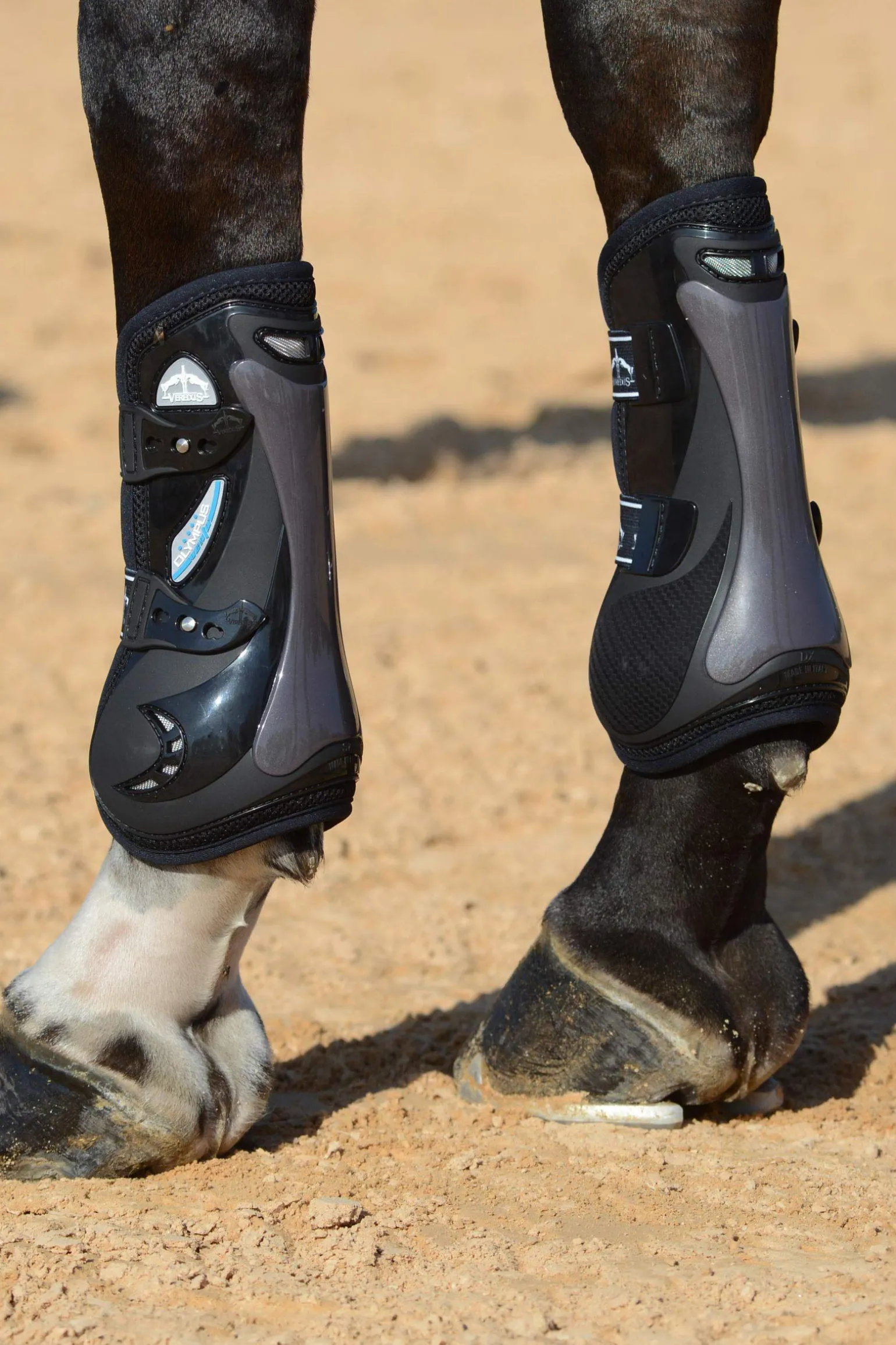 Veredus Olympus Vento senebelegg