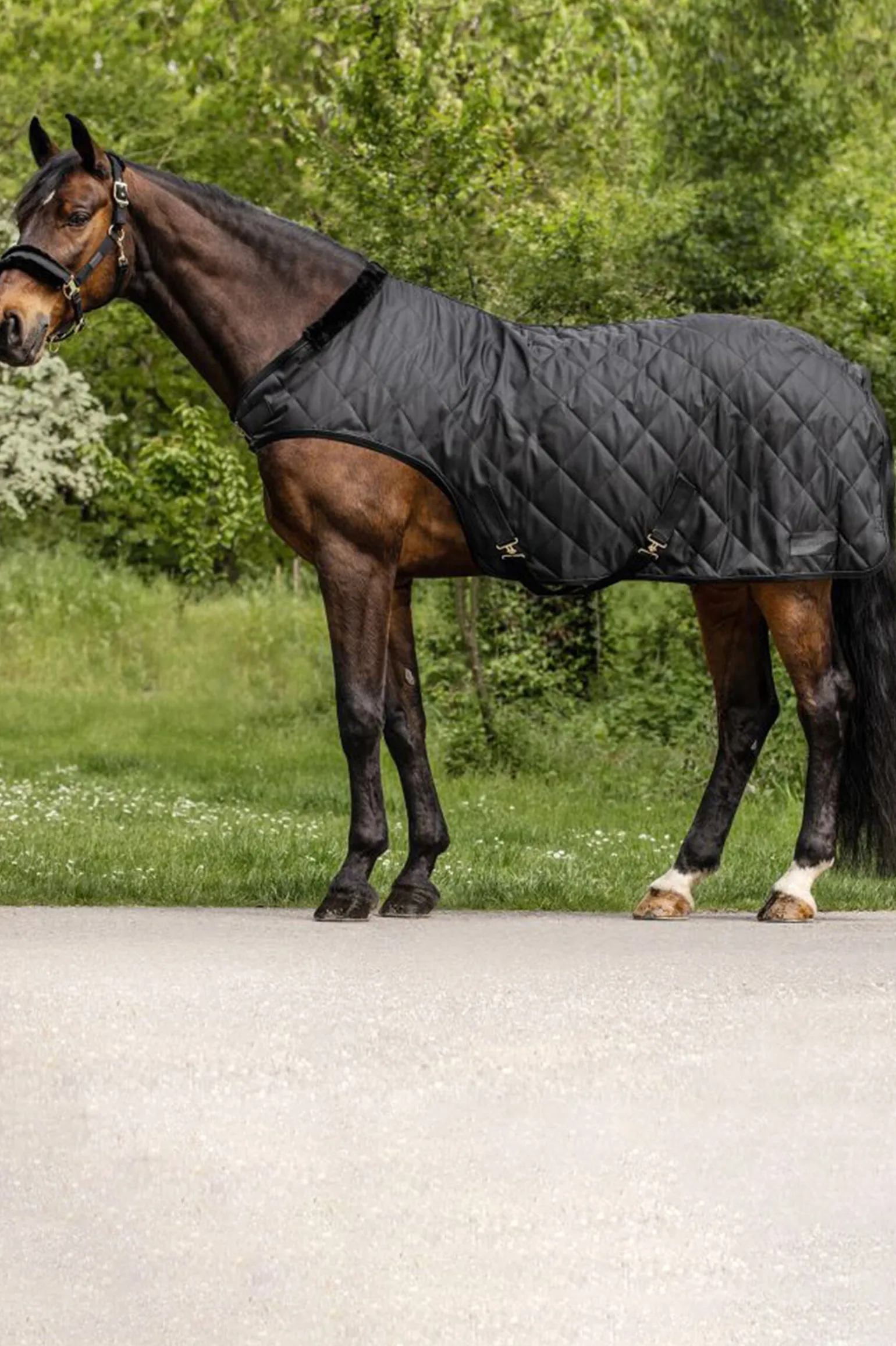 Waldhausen Exclusive Flue-Førermaskindekken, 50g