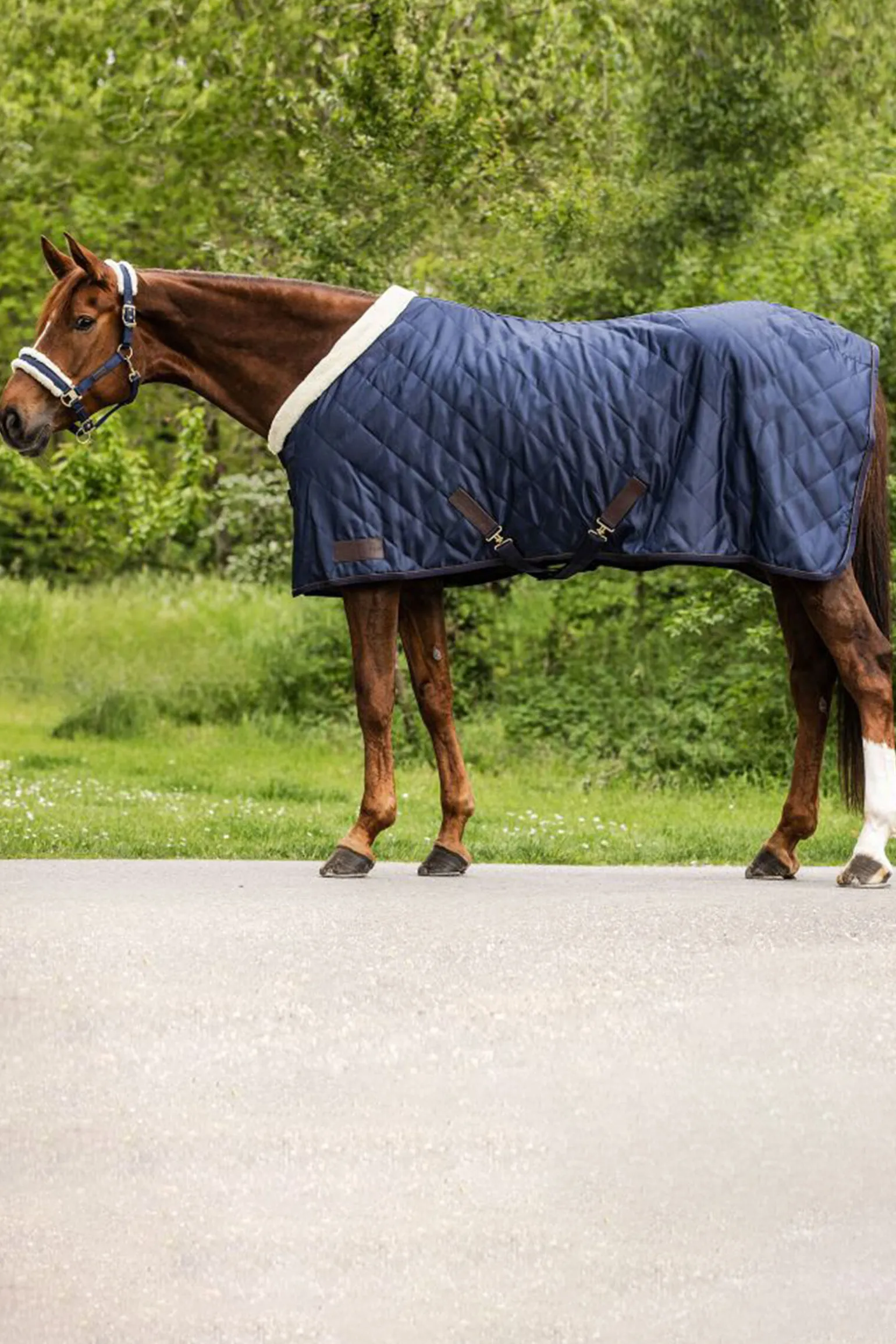 Waldhausen Exclusive Reisedekken, 50g