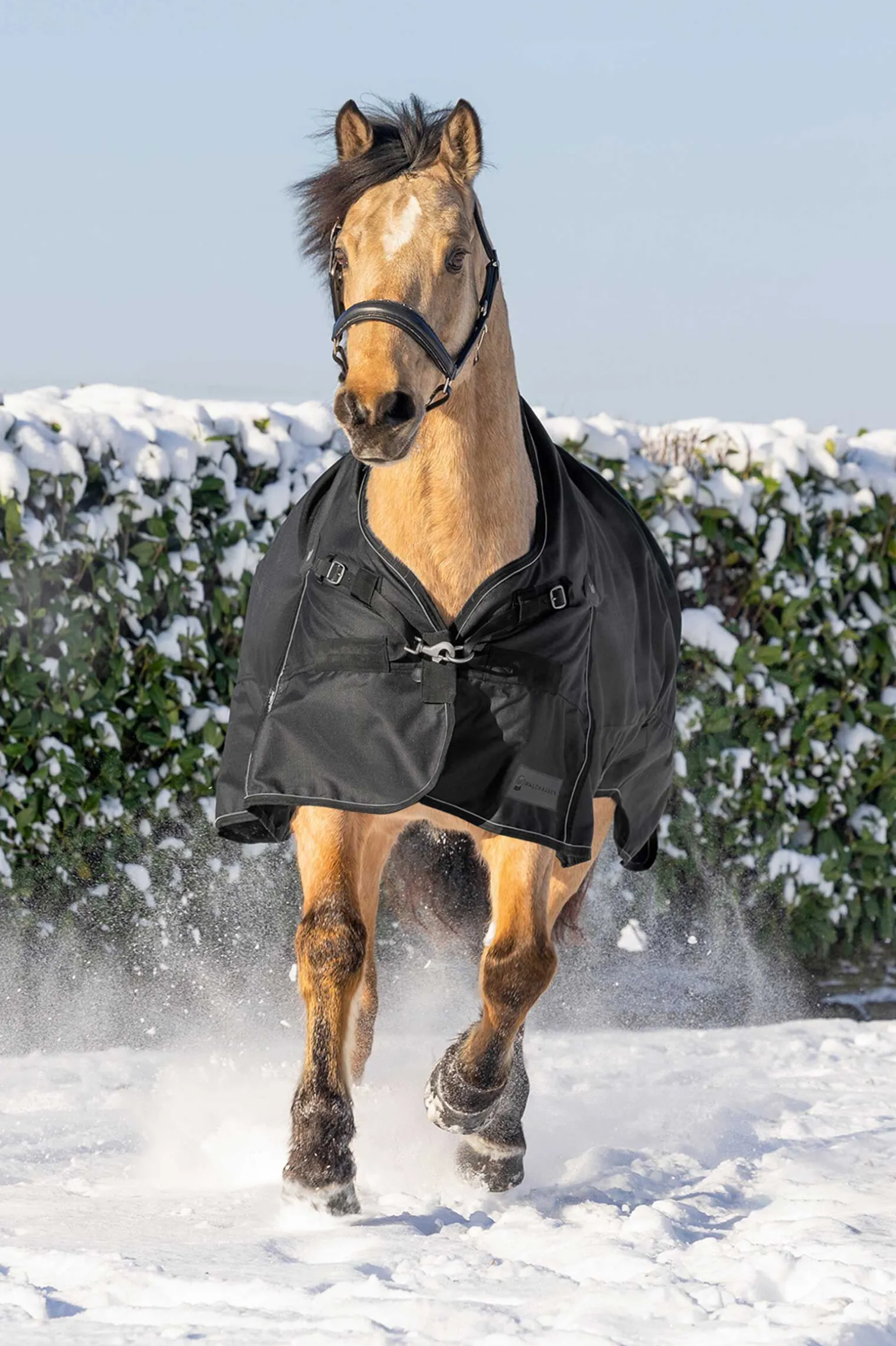 Waldhausen Scandic Utedekken med høy hals, 200 g