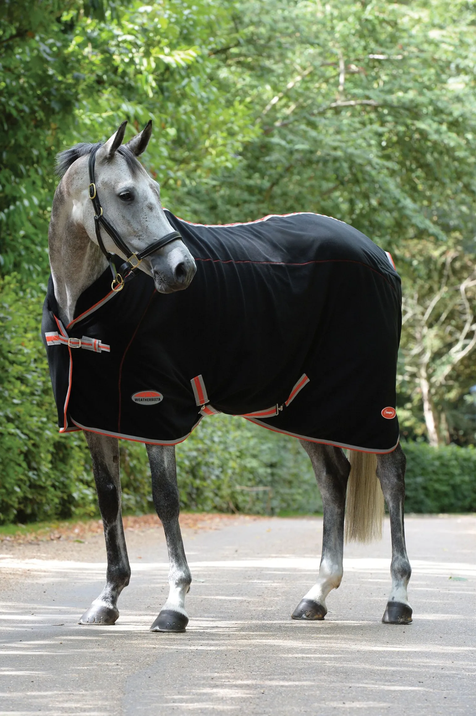 Weatherbeeta Therapy-Tec, standard hals